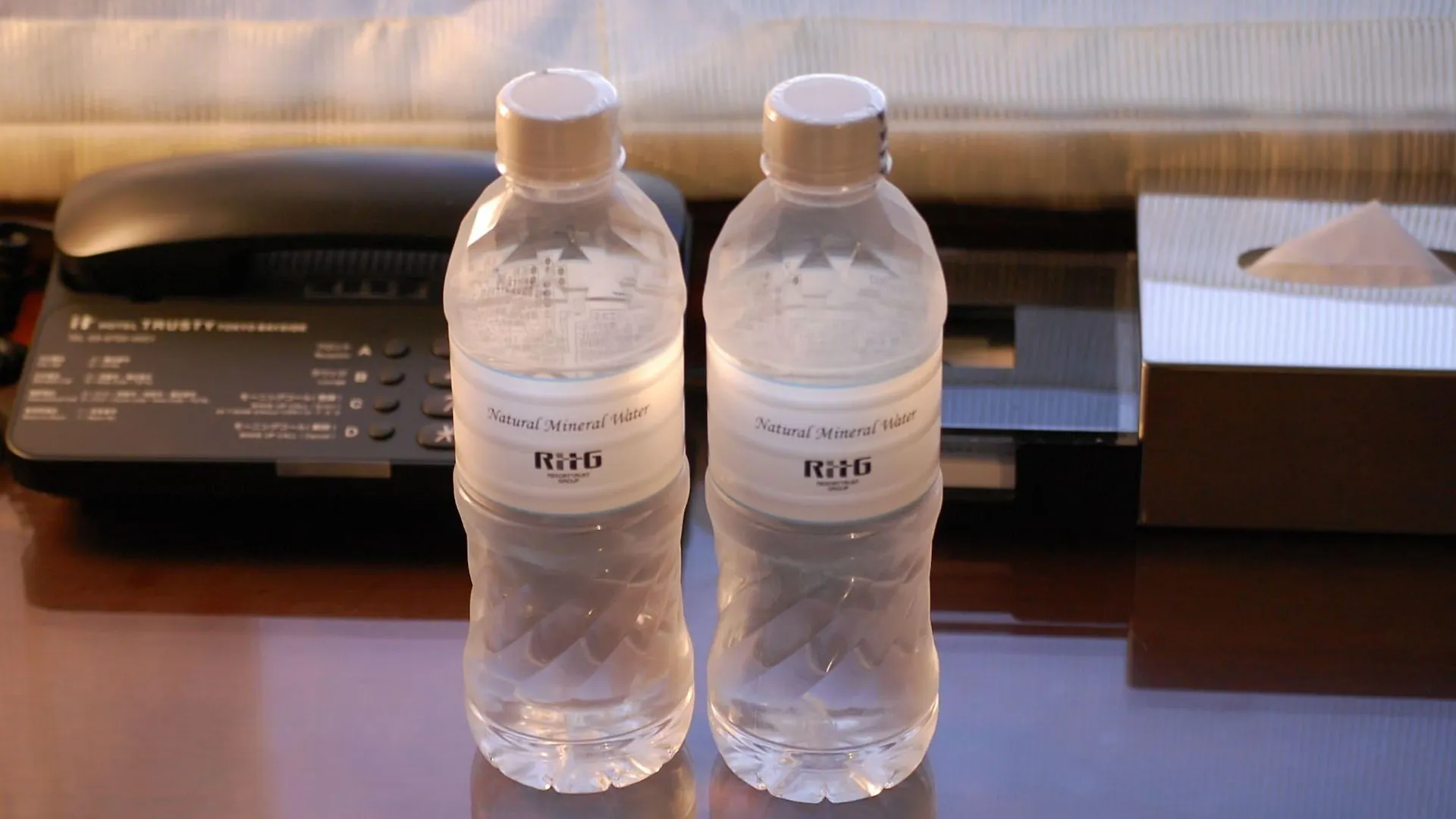 东京近湾Trusty酒店 東京都