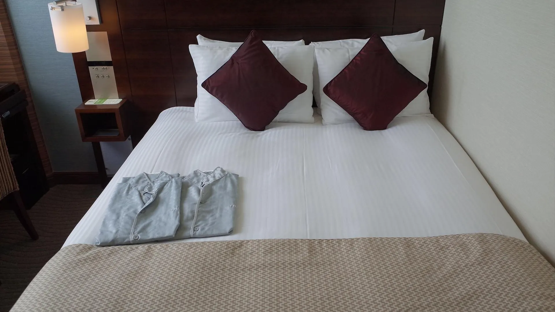 Hotel Trusty Tokyo Bayside